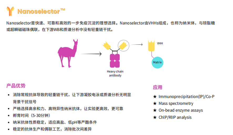 Nanoselector 納米磁珠/瓊脂糖珠